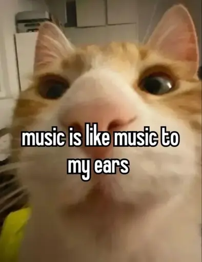 Picture of a orange cat captioned "music is like music to my years"