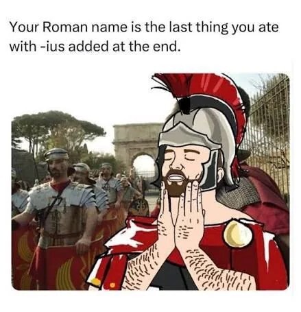 Lasagnaius