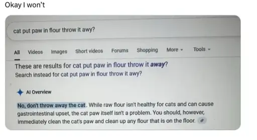 Google search:"cat put paw in flour throw it away?" Google AI answer:"No, don't throw away the cat. While raw flour isn't healthy for cats and upset, the cat paw itself isnt a problem. You should, however, immediatly tely clean the cat's paw and clean up any flour that is on the floor."