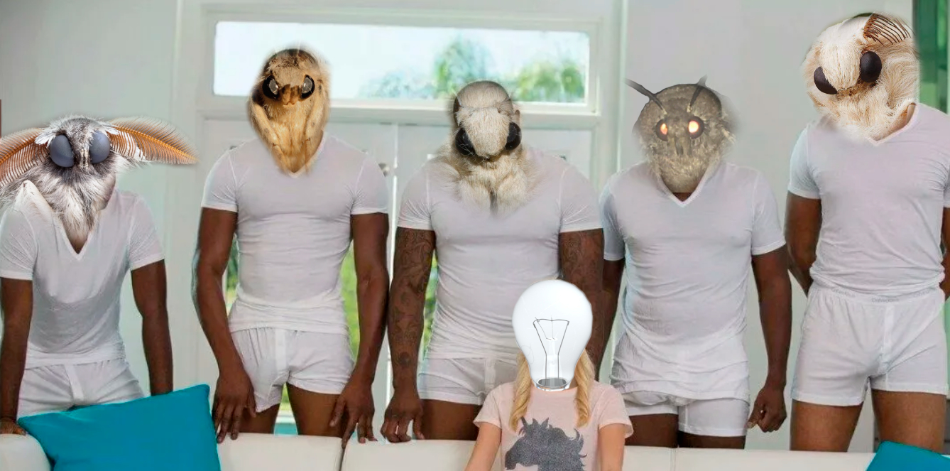 Five moths towering over a lamp in an edited porn screencap